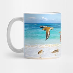 Sandpiper Birds at Ocean Beach Mug